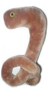 foto Ebola (Virus eboly)